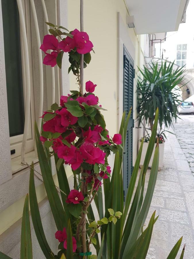 Arco Gentile Bed & Breakfast Bitonto Dış mekan fotoğraf